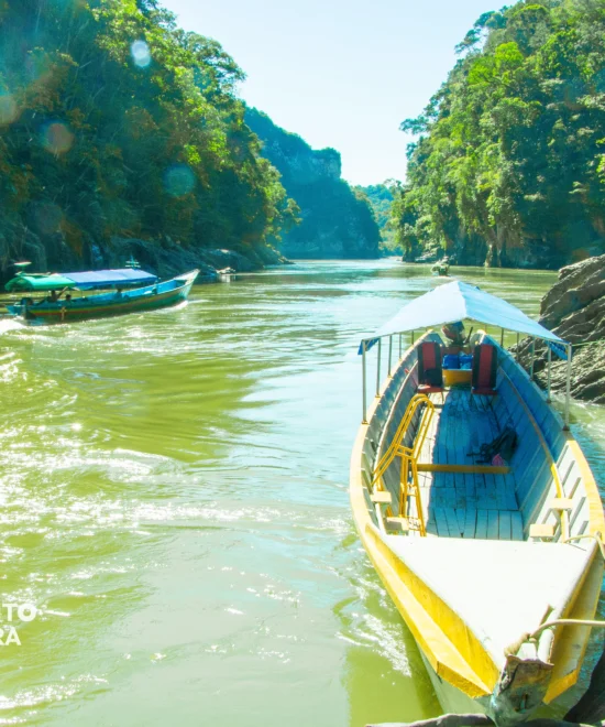 PUERTA DE ENTRADA A LOS MISTERIOS DEL PERÚ La Amazonía de Cusco