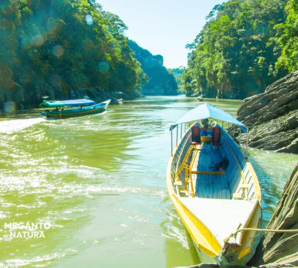 PUERTA DE ENTRADA A LOS MISTERIOS DEL PERÚ La Amazonía de Cusco